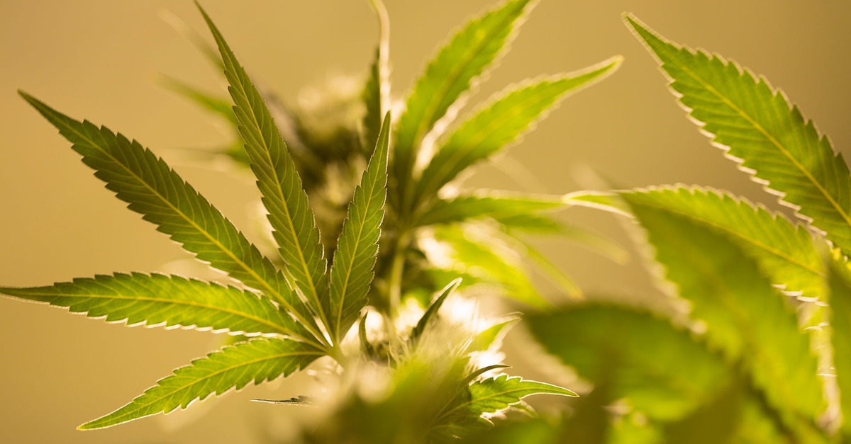 Puff, puff, apps.6 apps to light